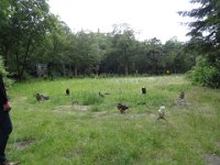 DSC01796