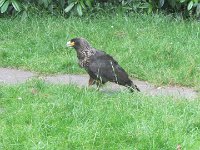 IMG 5750