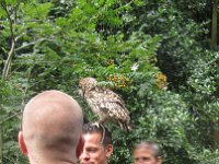 IMG 5754