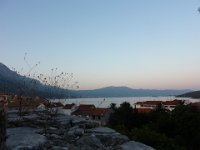 P1030151