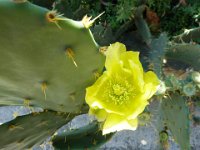 P1030157