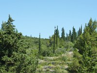 P1030260