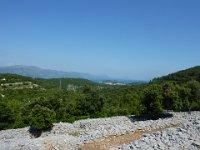 P1030265