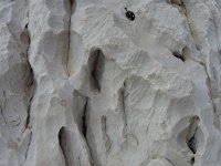 P1030362